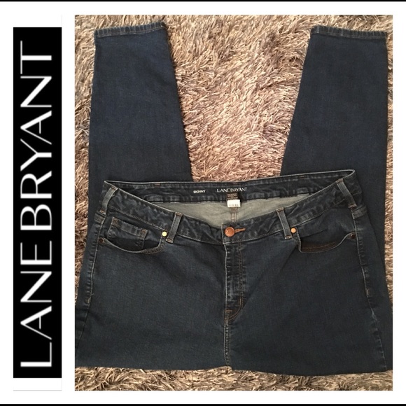 Lane Bryant Denim - Lane Bryant Skinny Jean